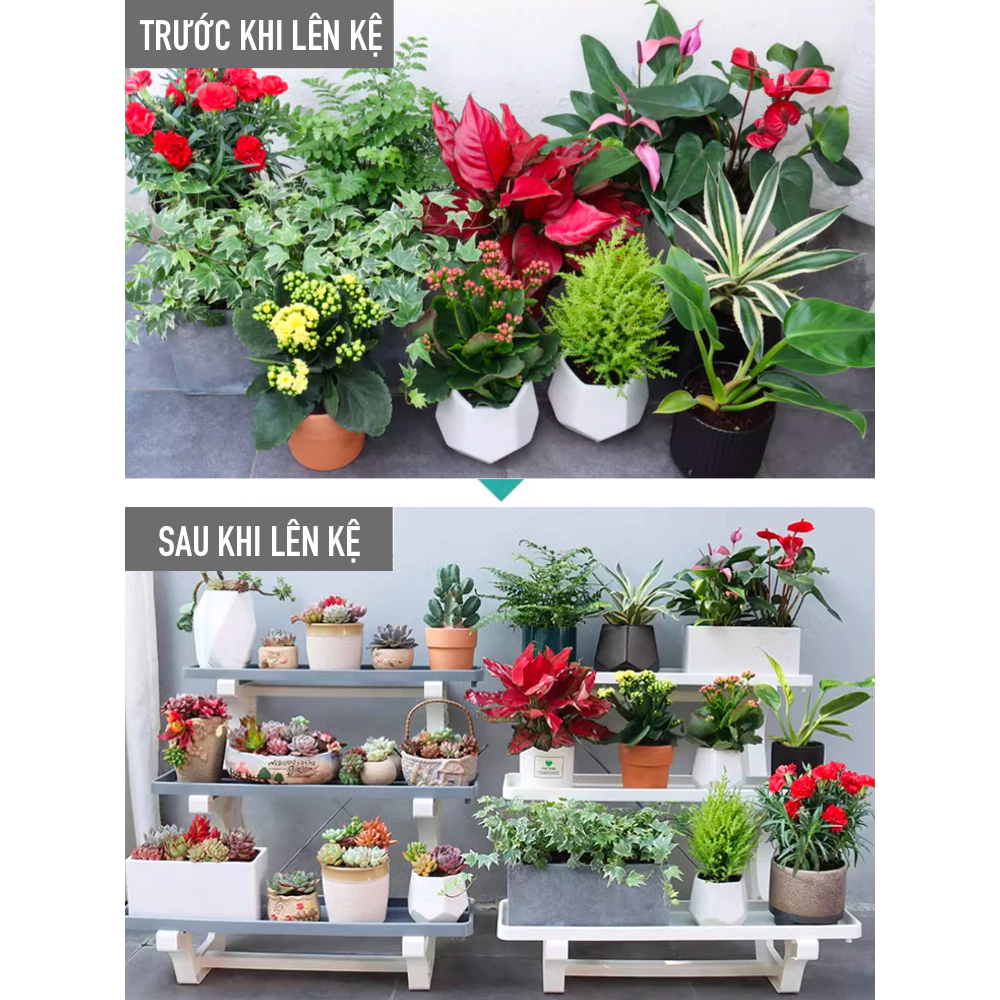 Nhiều cây nhưng vẫn gọn nhờ kệ để chậu cảnh đẹp Nhiều cây nhưng vẫn gọn nhờ kệ để chậu cảnh đẹp