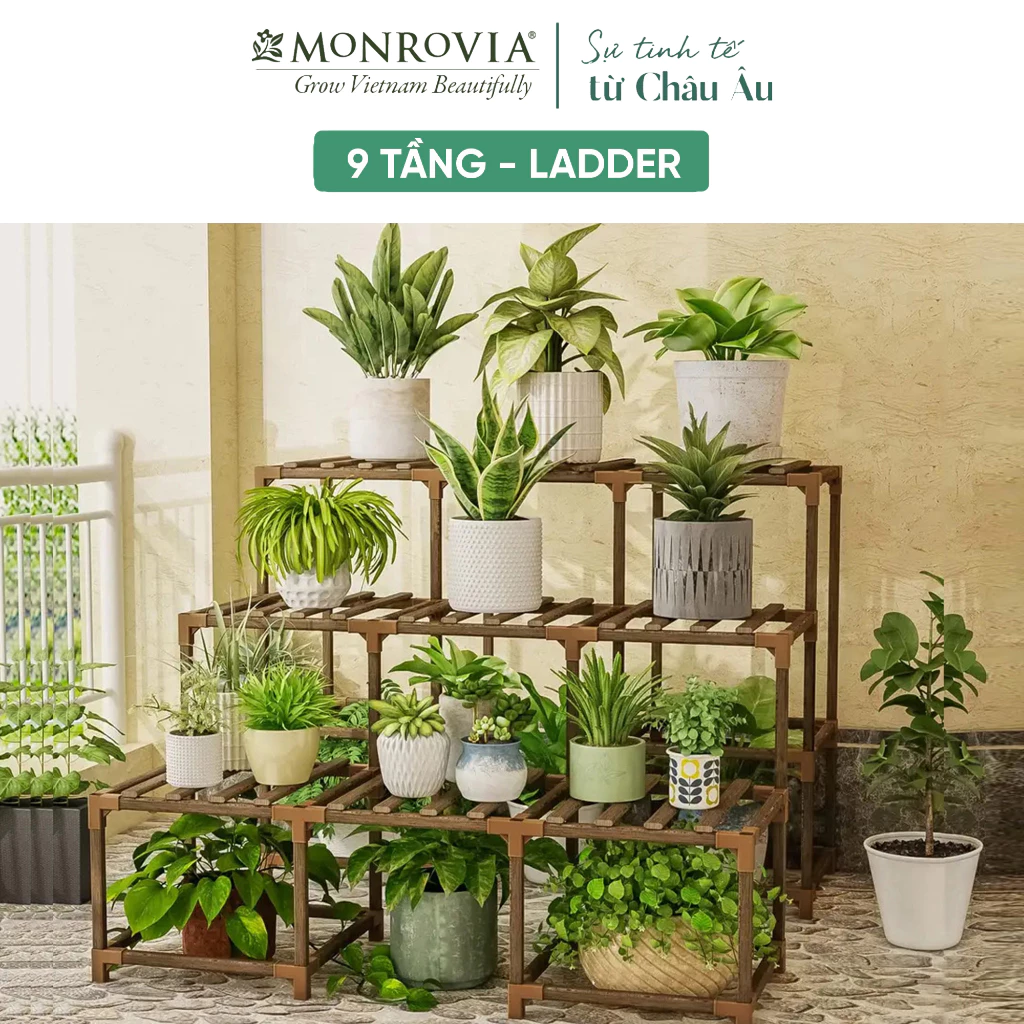 Khám phá vẻ đẹp tự nhiên trong từng góc nhà với kệ để chậu cây, mang đến không gian sống xanh mát và thanh lịch. Khám phá vẻ đẹp tự nhiên trong từng góc nhà với kệ để chậu cây, mang đến không gian sống xanh mát và thanh lịch.