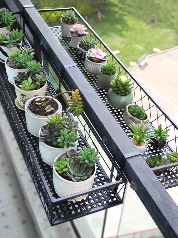 Kệ trồng sen đá giúp không gian ban công của bạn thêm xanh mát và tinh tế, mang lại vẻ đẹp tự nhiên cho ngôi nhà. Kệ trồng sen đá giúp không gian ban công của bạn thêm xanh mát và tinh tế, mang lại vẻ đẹp tự nhiên cho ngôi nhà.