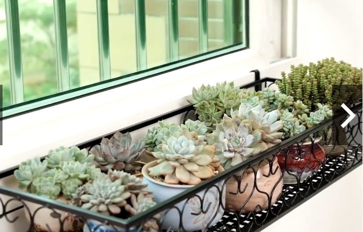 Kệ để sen đá bằng sắt chắc chắn và bền bỉ, là lựa chọn hoàn hảo để trang trí không gian sống thêm phần sang trọng và bắt mắt. Kệ để sen đá bằng sắt chắc chắn và bền bỉ, là lựa chọn hoàn hảo để trang trí không gian sống thêm phần sang trọng và bắt mắt.