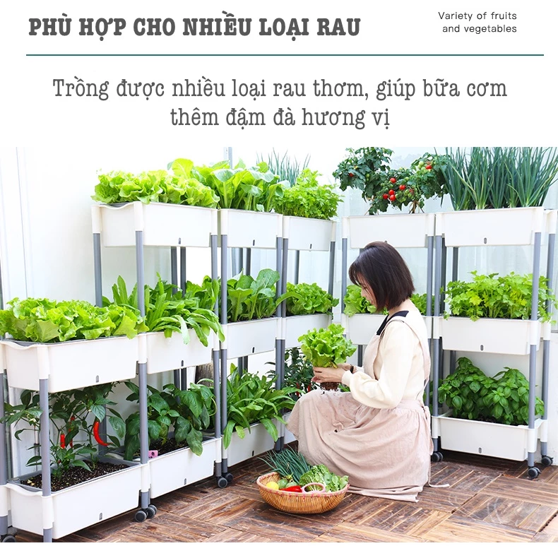 Kệ trồng rau với Chậu trồng rau tự tưới, có bánh xe di chuyển tiện lợi. Kệ trồng rau với Chậu trồng rau tự tưới, có bánh xe di chuyển tiện lợi.