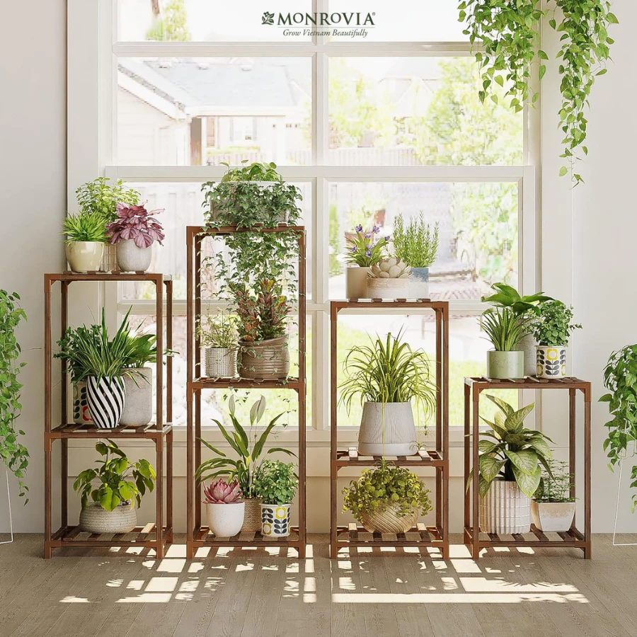 Kệ để cây cảnh trong nhà – Tạo không gian sống xanh mát, hiện đại và tinh tế cho ngôi nhà của bạn. Kệ để cây cảnh trong nhà – Tạo không gian sống xanh mát, hiện đại và tinh tế cho ngôi nhà của bạn.