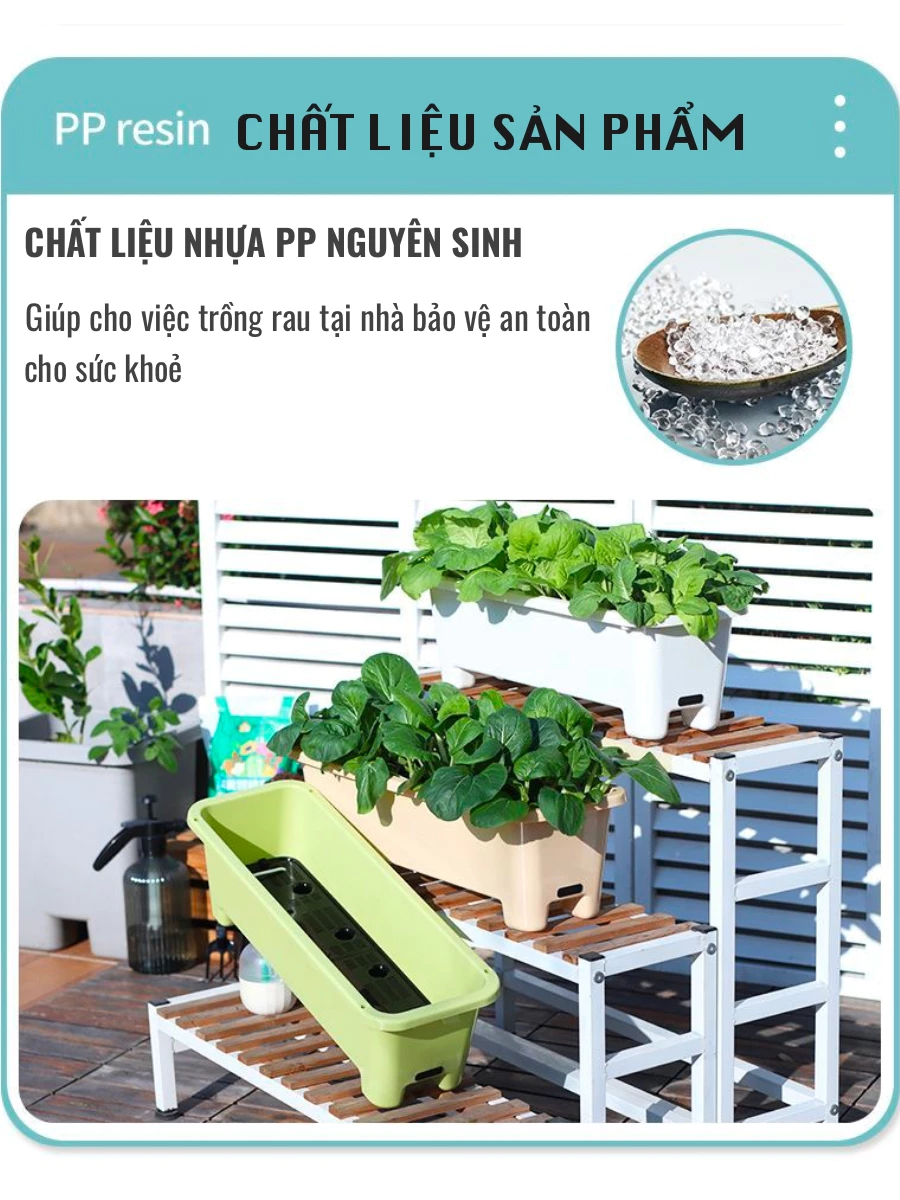 Chậu trồng rau tự tưới thiết kế đơn giản, dễ sử dụng Chậu trồng rau tự tưới thiết kế đơn giản, dễ sử dụng