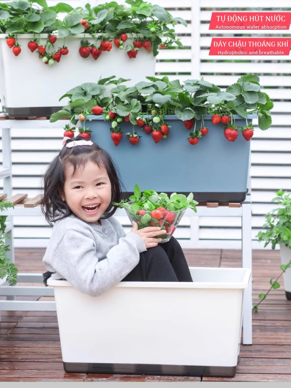 Biến ban công nhỏ xinh thành vườn rau xanh mát với chậu trồng rau thông minh! Biến ban công nhỏ xinh thành vườn rau xanh mát với chậu trồng rau thông minh!