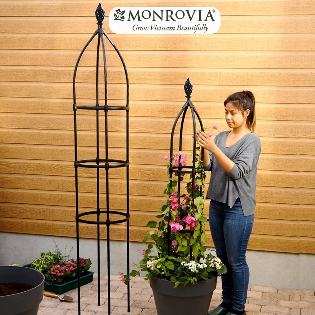 Nâng niu từng cành hồng leo với khung vòm thiết kế tinh tế. Vừa giúp cây phát triển, vừa làm đẹp không gian! Nâng niu từng cành hồng leo với khung vòm thiết kế tinh tế. Vừa giúp cây phát triển, vừa làm đẹp không gian!