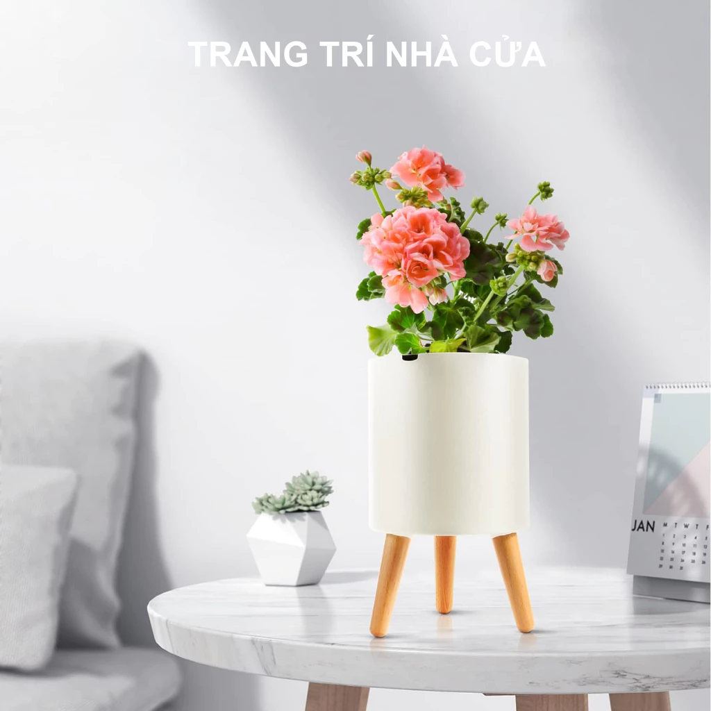 Tao nhã thanh tao cho khu vườn với các mẫu chậu cây cảnh đẹp Tao nhã thanh tao cho khu vườn với các mẫu chậu cây cảnh đẹp