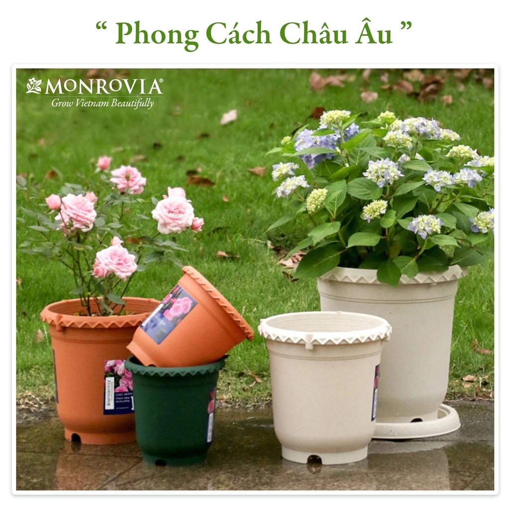 Mẫu chậu cây cảnh đẹp cho khu vườn thêm thanh lịch Mẫu chậu cây cảnh đẹp cho khu vườn thêm thanh lịch