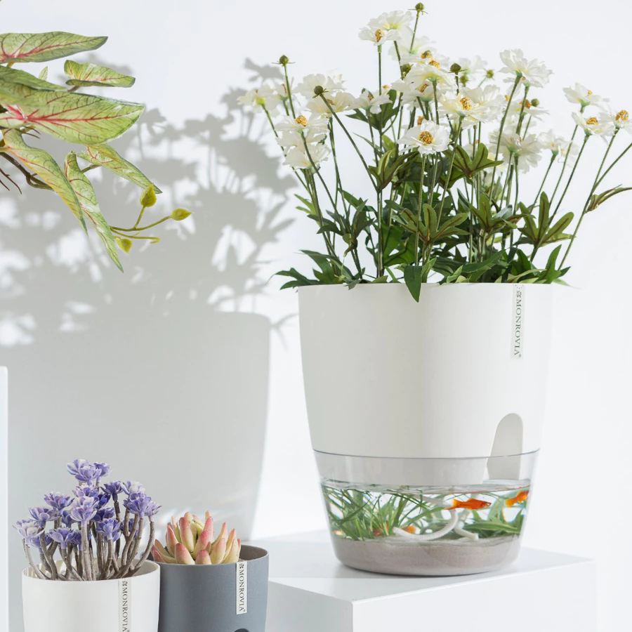 Mẫu Chậu cây cảnh đẹp tự tưới phù hợp bố trí trong nhà vào dịp Tết Mẫu Chậu cây cảnh đẹp tự tưới phù hợp bố trí trong nhà vào dịp Tết