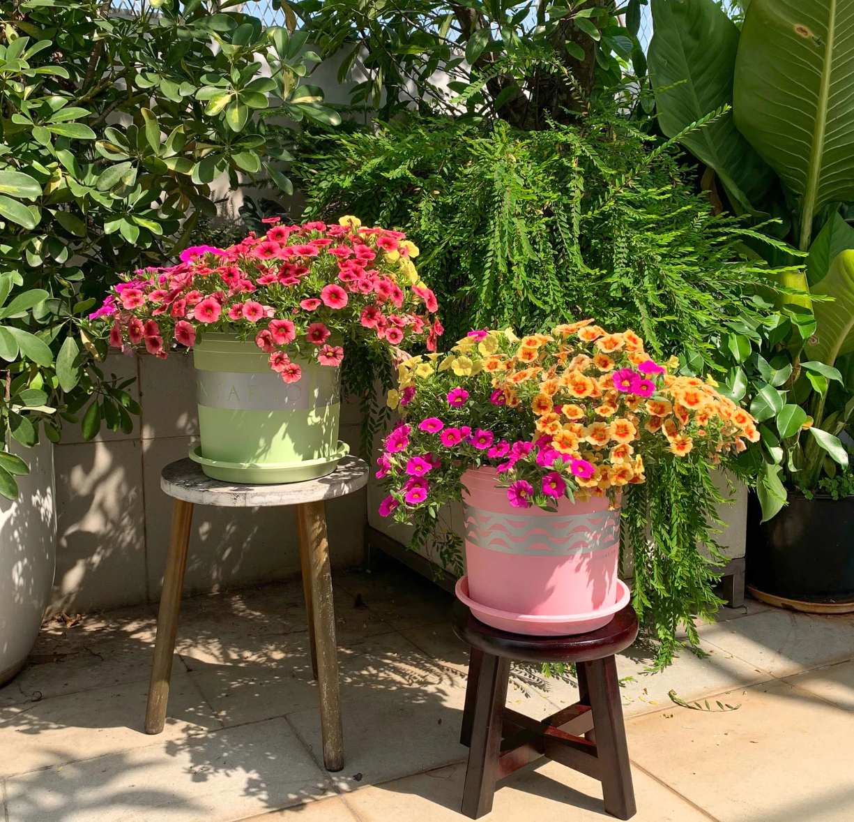 Đáp án cho câu hỏi mua chậu cảnh ở đâu để phù hợp với từng loại cây. Hãy nhấp vào hình ảnh! Đáp án cho câu hỏi mua chậu cảnh ở đâu để phù hợp với từng loại cây. Hãy nhấp vào hình ảnh!