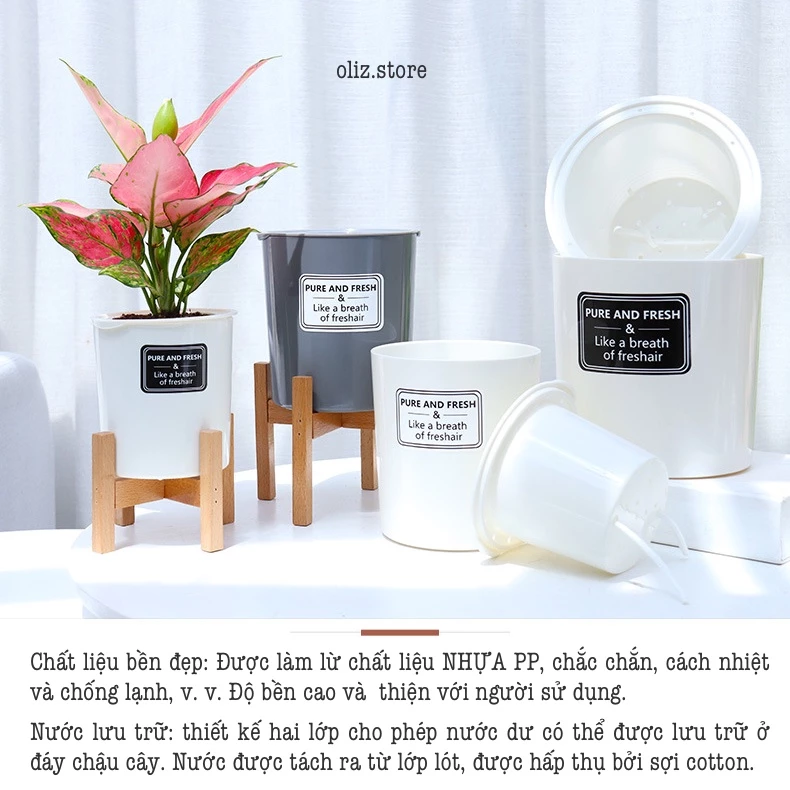 Giải pháp trồng cây thông minh, tiết kiệm mà vẫn đẹp mắt? Chính là những chiếc chậu nhựa trồng cây này đây! Giải pháp trồng cây thông minh, tiết kiệm mà vẫn đẹp mắt? Chính là những chiếc chậu nhựa trồng cây này đây!