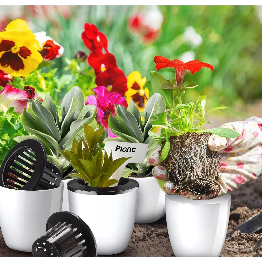 Thật dễ để có thể mua chậu trồng cây thông minh Thật dễ để có thể mua chậu trồng cây thông minh