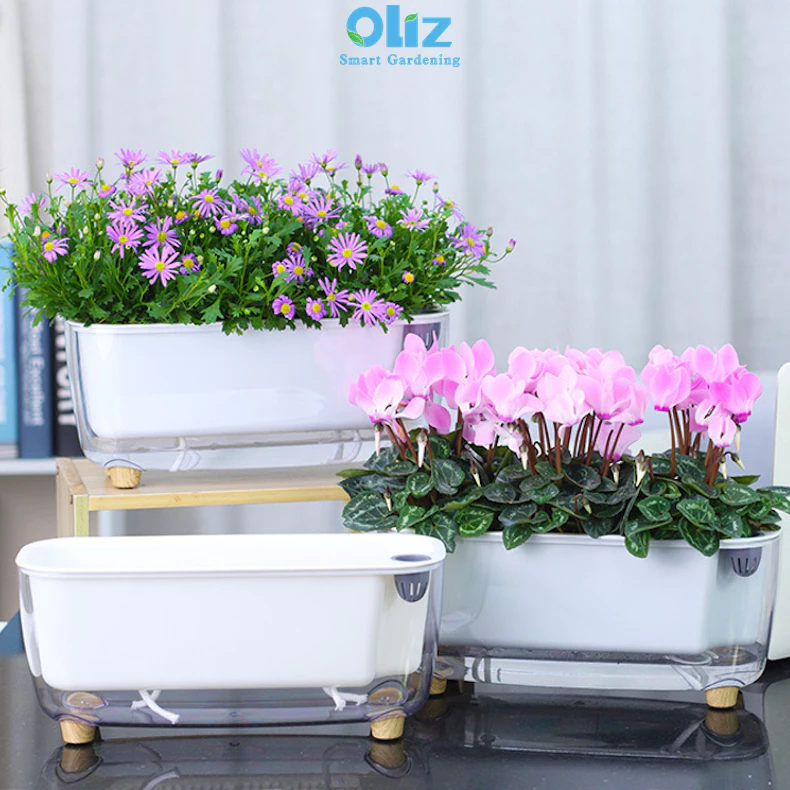 Mua chậu cảnh đẹp tự tưới tươi tắn cho khu vườn Mua chậu cảnh đẹp tự tưới tươi tắn cho khu vườn