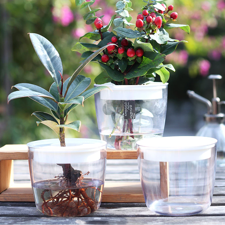 Mua chậu hoa cảnh ở đâu đẹp nhất? Hãy nhấp vào hình ảnh để biết nhé Mua chậu hoa cảnh ở đâu đẹp nhất? Hãy nhấp vào hình ảnh để biết nhé