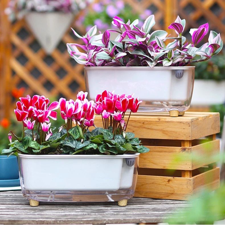 Sang trọng và thanh lịch, mẫu chậu cây cảnh đẹp tự tưới này giúp không gian nhà bạn thêm sống động Sang trọng và thanh lịch, mẫu chậu cây cảnh đẹp tự tưới này giúp không gian nhà bạn thêm sống động