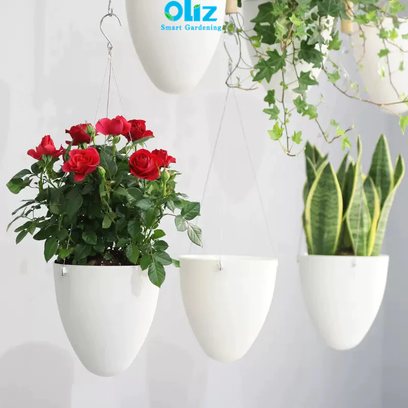 Bạn có thể chọn mẫu chậu cây cảnh treo mày để trồng cây thường xuân, chậu thông minh, tự tưới Bạn có thể chọn mẫu chậu cây cảnh treo mày để trồng cây thường xuân, chậu thông minh, tự tưới