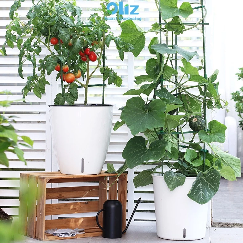 Mẫu chậu cây cảnh màu trắng sang trọng đang thu hút những người yêu thiên nhiên Mẫu chậu cây cảnh màu trắng sang trọng đang thu hút những người yêu thiên nhiên