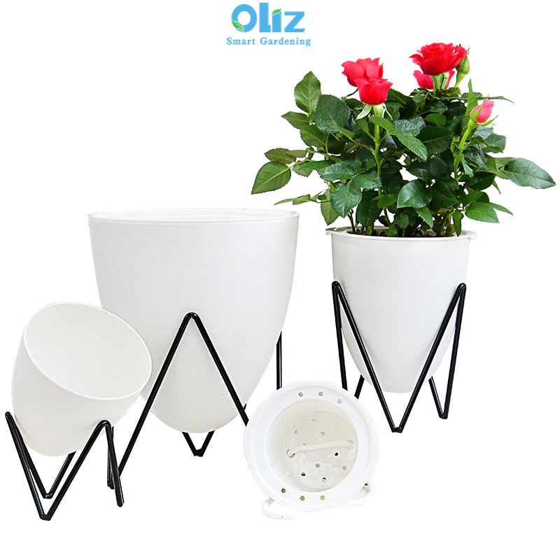 Mua chậu cây cảnh nhỏ trang trí bàn làm việc giúp bạn thư giãn Mua chậu cây cảnh nhỏ trang trí bàn làm việc giúp bạn thư giãn