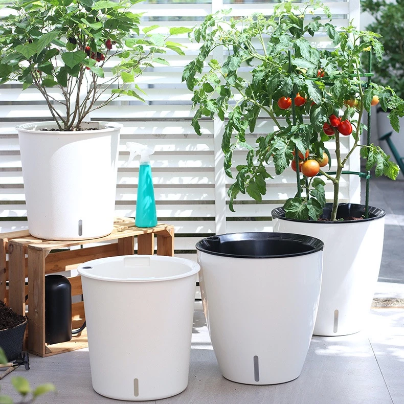 Mua chậu trồng cây cảnh kiểu dáng đẹp, thông minh, tự tưới Mua chậu trồng cây cảnh kiểu dáng đẹp, thông minh, tự tưới