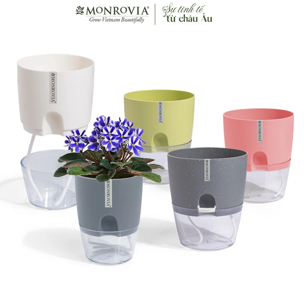 Mua chậu trồng cây đẹp, thông minh để bàn ngày tết sang trọng và tinh tế Mua chậu trồng cây đẹp, thông minh để bàn ngày tết sang trọng và tinh tế