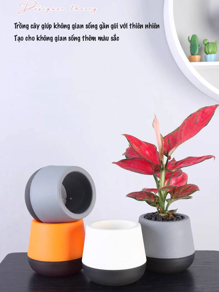 Chậu trồng cây cảnh tphcm kiểu dáng đẹp. hãy nhấp vào hình để biết nơi mua chậu nhé Chậu trồng cây cảnh tphcm kiểu dáng đẹp. hãy nhấp vào hình để biết nơi mua chậu nhé