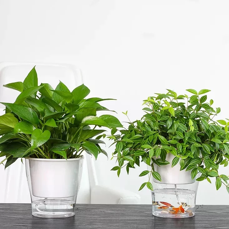 Tìm mua chậu nhựa trồng cây tphcm tốt nhất, bạn hãy nhấp vào hình ảnh để biết nhé Tìm mua chậu nhựa trồng cây tphcm tốt nhất, bạn hãy nhấp vào hình ảnh để biết nhé