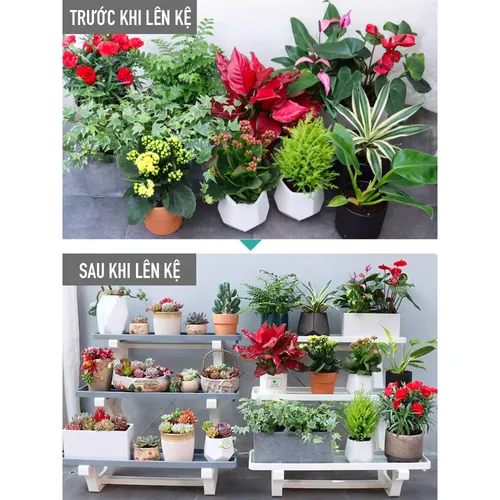 👍 Kệ Để Chậu Cây Được Yêu Thích – Tăng Thẩm Mỹ Cho Không Gian Cây Cảnh.