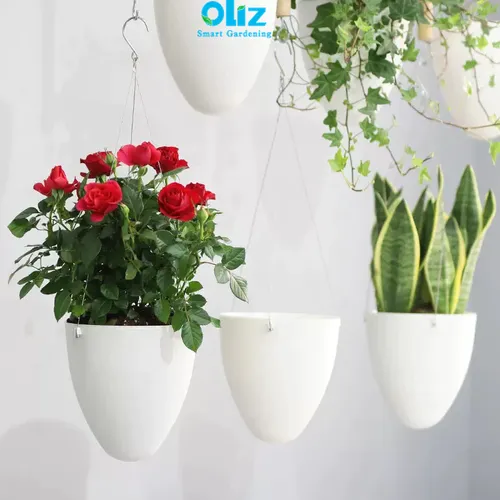 Chậu Cây Treo Ban Công-  Không Gian Xanh Lãng mạn.