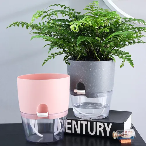 Chậu Cây Nhỏ Để Bàn: Xanh Mát Góc Làm Việc, Trang Trí Tinh Tế.