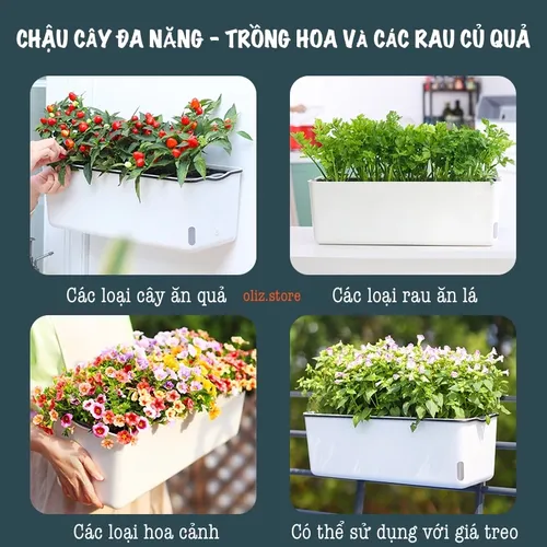 🌿 Chậu Treo Ban Công: Biến Hóa Ban Công Nhỏ Thành Vườn Xanh Mát.
