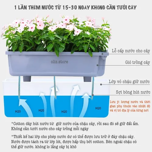 🌿 Chậu Treo Ban Công: Biến Hóa Ban Công Nhỏ Thành Vườn Xanh Mát.