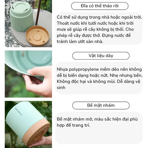 🌞 Chậu Nhựa Trồng Cây Cao Cấp | Nhựa Tốt, Thiết Kế Hiện Đại.