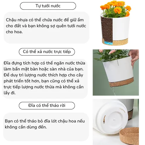 🌞 Chậu Nhựa Trồng Cây Cao Cấp | Nhựa Tốt, Thiết Kế Hiện Đại.