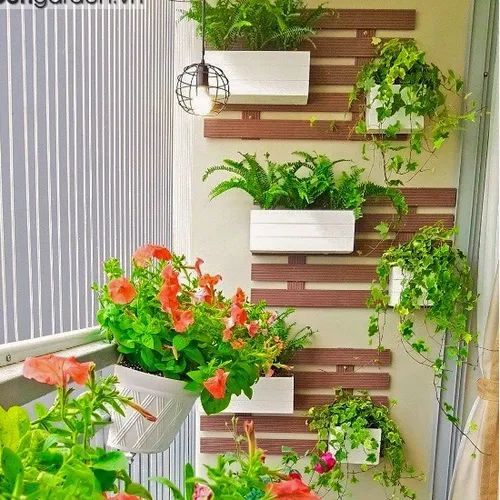 😱 CHẬU TREO BAN CÔNG Mẫu Mới: Hàng Xóm Phải Trầm Trồ Vì Ban Công Quá Đẹp!