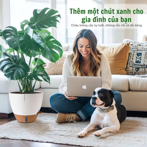 🌶️ Chậu Nhựa Trồng Cây Cảnh Đẹp | Giá Tốt, Nhiều Mẫu Mới Nhất.