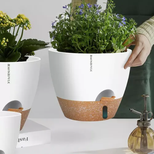 🌶️ Chậu Nhựa Trồng Cây Cảnh Đẹp | Giá Tốt, Nhiều Mẫu Mới Nhất.