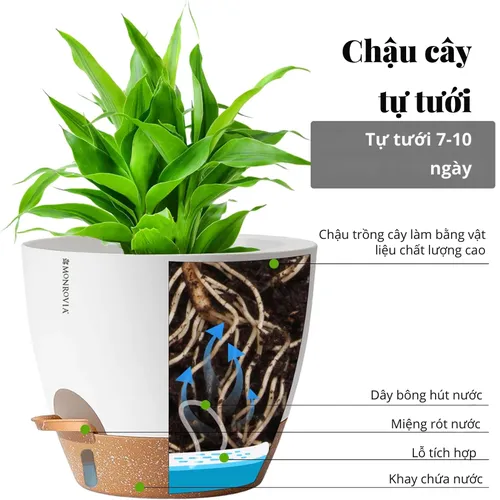 🌶️ Chậu Nhựa Trồng Cây Cảnh Đẹp | Giá Tốt, Nhiều Mẫu Mới Nhất.