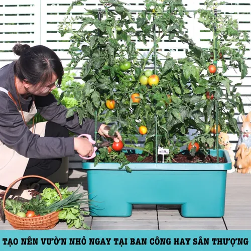 ✨ Chậu Trồng Rau Sân Thượng Thông Minh - Tối Ưu Không Gian.