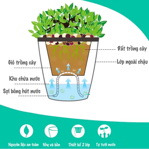 👍 Chậu Treo Tường: Tiết Kiệm Không Gian, Trang Trí Nhà Cực Đẹp.