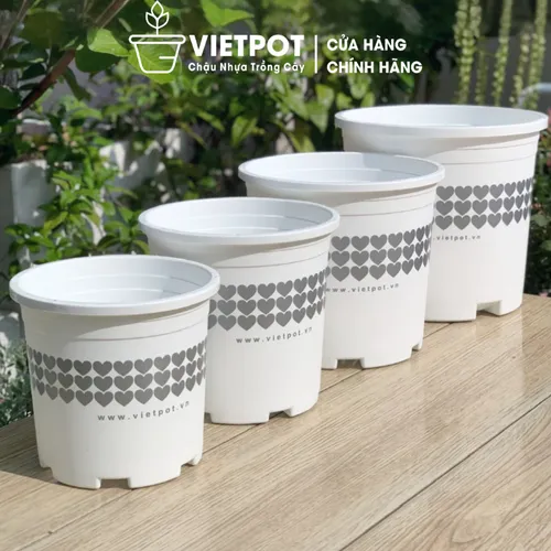 Chậu Nhựa Trắng trồng cây VIETPOT - Tôn vẻ đẹp Sang trọng Cho Không gian nhà bạn!
