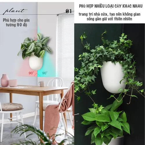 🌻 Chậu Nhựa Treo Tường: Nhẹ Bền, Tiết Kiệm Diện Tích, Trang Trí Cực Xinh.