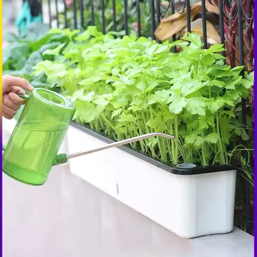 🌿 Chậu Trồng Rau Sân Thượng Thông Minh tự tưới, Không Tốn Công Chăm Sóc.