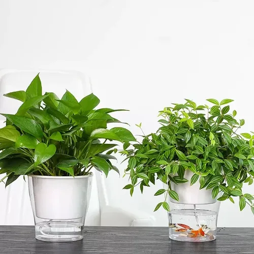 🌿 Chậu Cây Để Bàn Thông Minh – Tự Tưới Nước, Dễ Chăm Sóc.