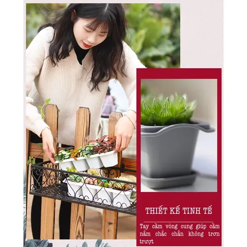  🌵✨Chậu Trồng Sen Đá Mini Để Bàn | Trang Trí Cực Chill, Giá Hạt Dẻ.