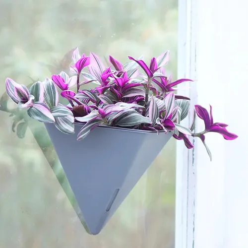 Chậu Cây Ban Công Kiểu Dáng Thời Thượng- Tự Tưới-  Hoàn Hảo Cho Mọi Không Gian.