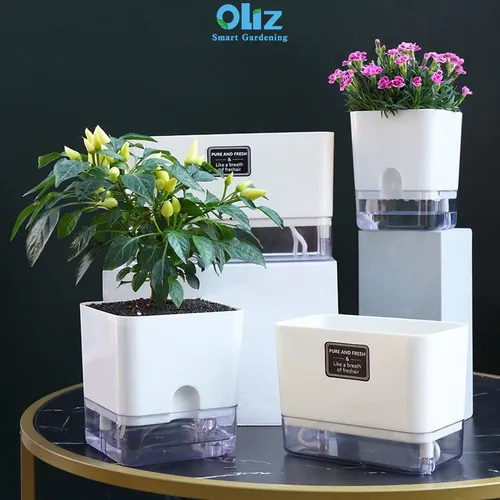 🌿 Chậu Cây Để Bàn Đẹp – Bí Quyết Mang Lại Không Gian Xanh Mát, Thư Giãn.