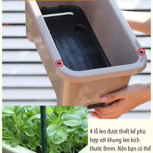 🌱 Chậu Trồng Rau Tự tưới – Dễ Dàng Trồng Rau Tại Nhà.