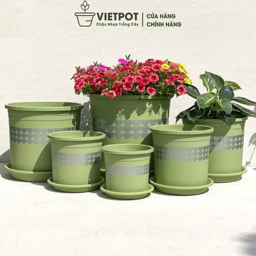 🌿✨Chậu Nhựa Trồng Cây Cảnh Đẹp Mê Ly.