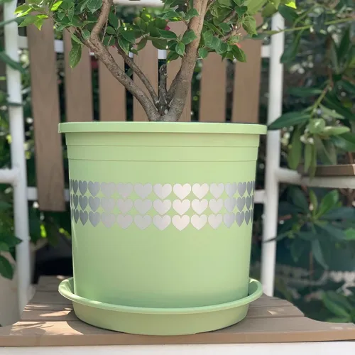 🌿✨Chậu Nhựa Trồng Cây Cảnh Đẹp Mê Ly.