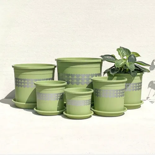 🌿✨Chậu Nhựa Trồng Cây Cảnh Đẹp Mê Ly.