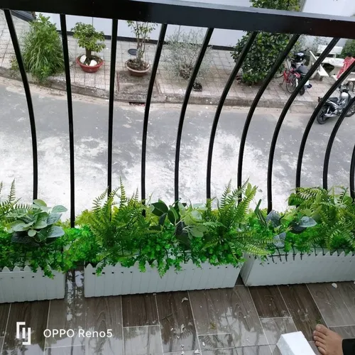 🌿Chậu Trồng Cây Ban Công hàng rào: Biến Lan Can Thành Vườn Hoa Rực Rỡ!